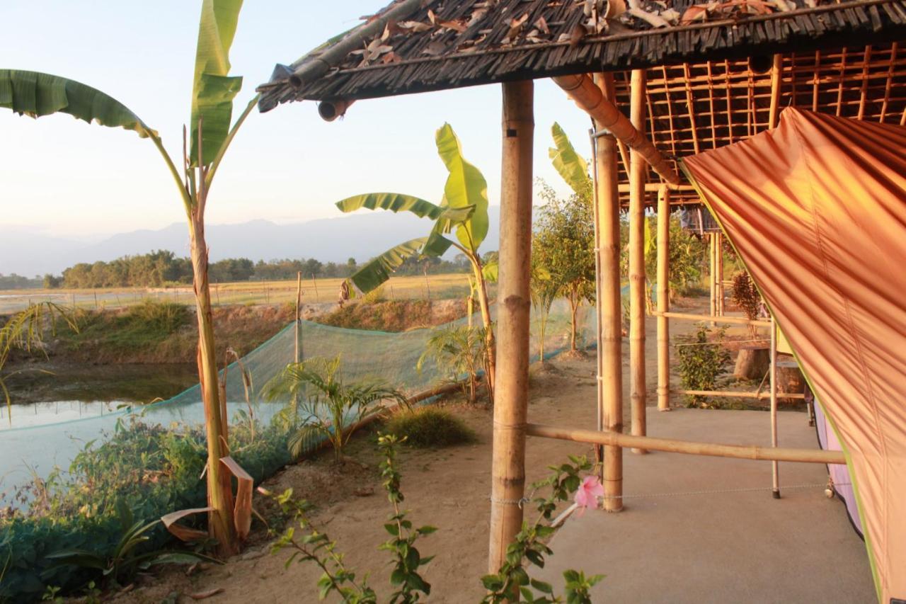 Mazbat Kanoka Village Resort المظهر الخارجي الصورة
