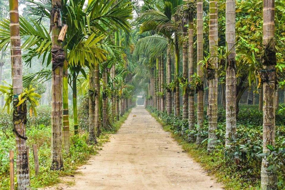 Mazbat Kanoka Village Resort المظهر الخارجي الصورة