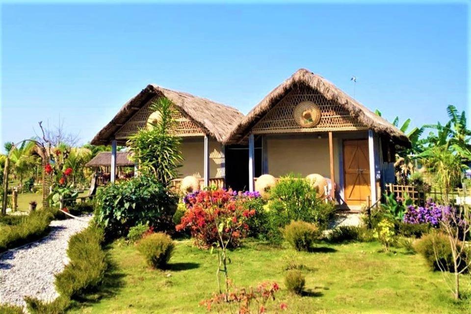 Mazbat Kanoka Village Resort المظهر الخارجي الصورة